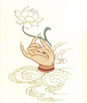 54baacfb6ed6981c4e4aea24